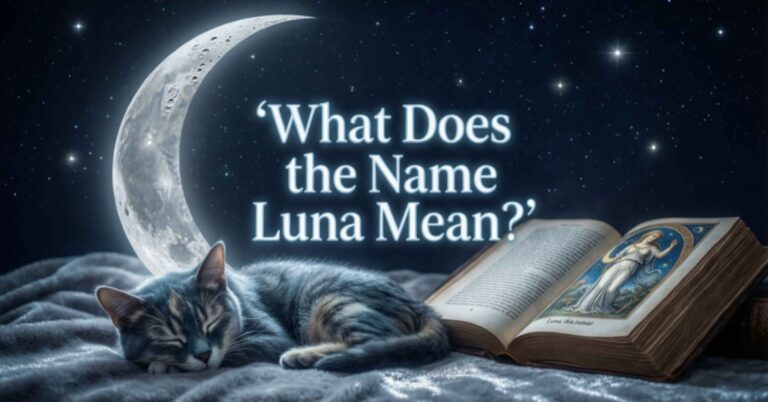 What Does the Name Luna Mean