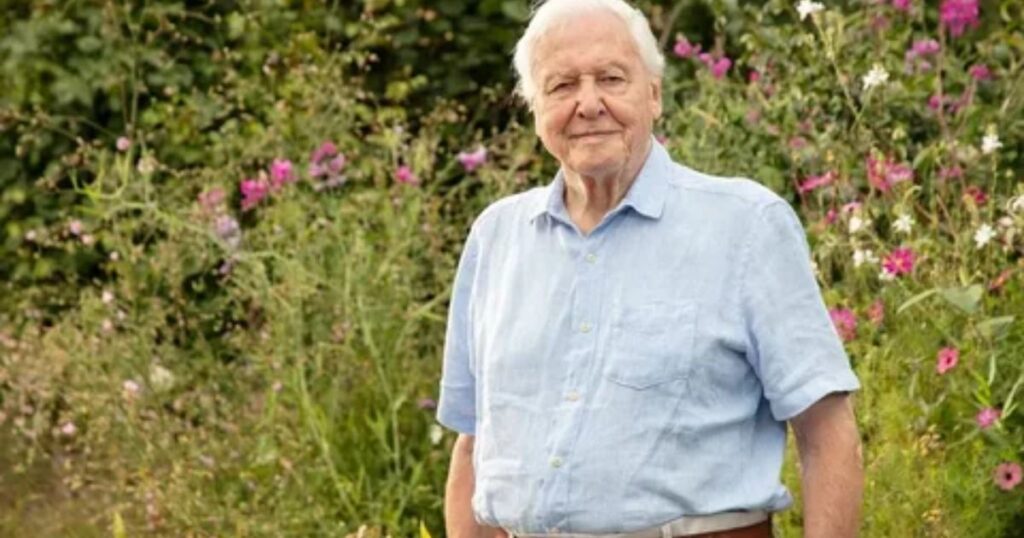 Robert Attenborough Academic Career