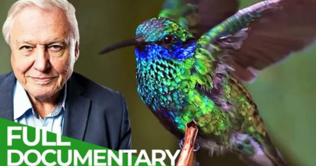 Robert Attenborough Public Interest and Speculation